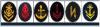 Insignia Rank Officer Icons 